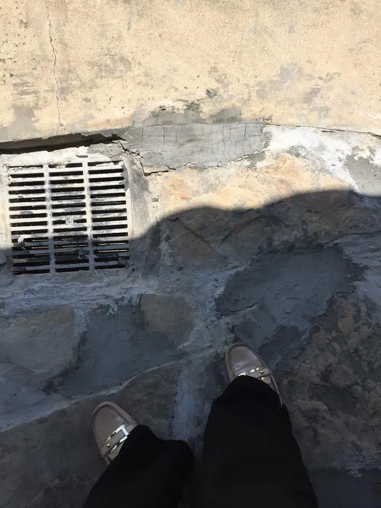 Professional lawn mowing service experts serving Westlake, LA - New Look Landscaping