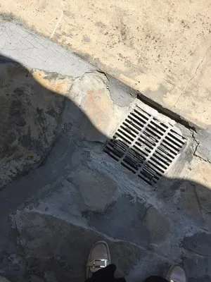 New Look Landscaping