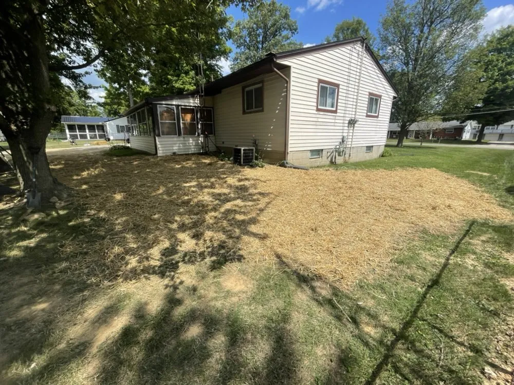 Top-rated yard cleanup service experts serving Mansfield, OH - New Look Lawn Care