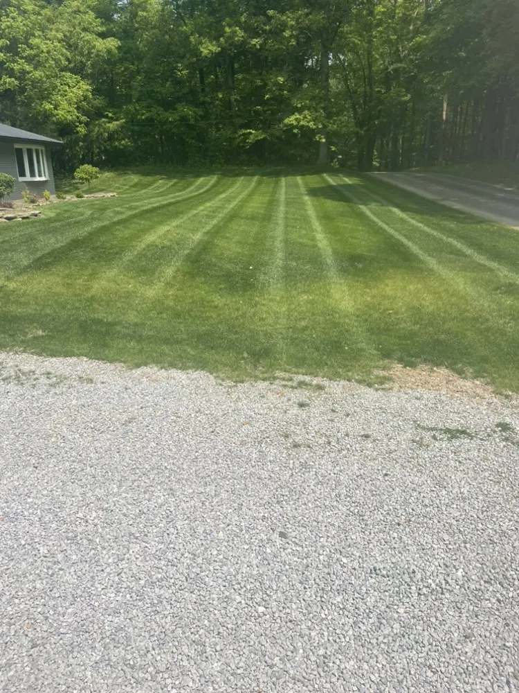 Local lawn care service in Mansfield, OH by New Look Lawn Care