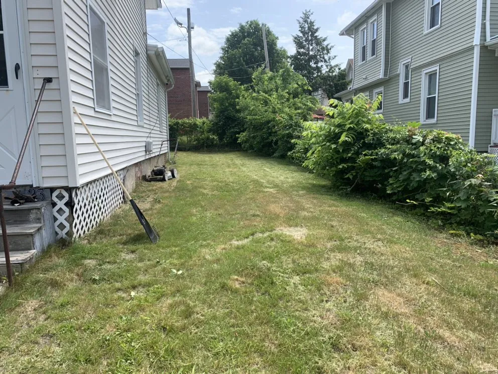 Local residential landscaping in Springfield, MA by New Look Services