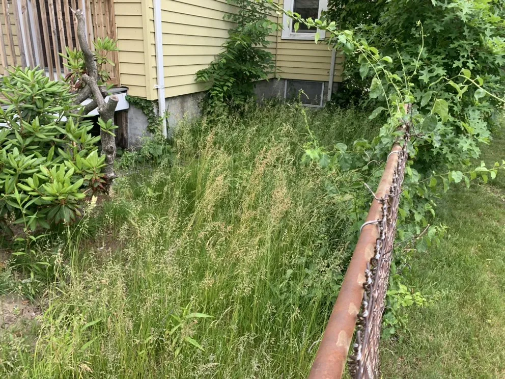 Custom residential landscaping near you in Springfield, MA by New Look Services