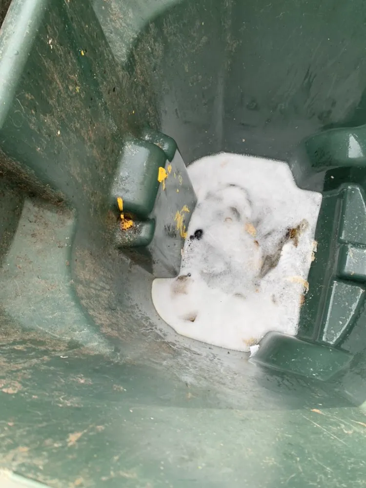 Top-rated landscape design in Springfield, MA - New Look Services