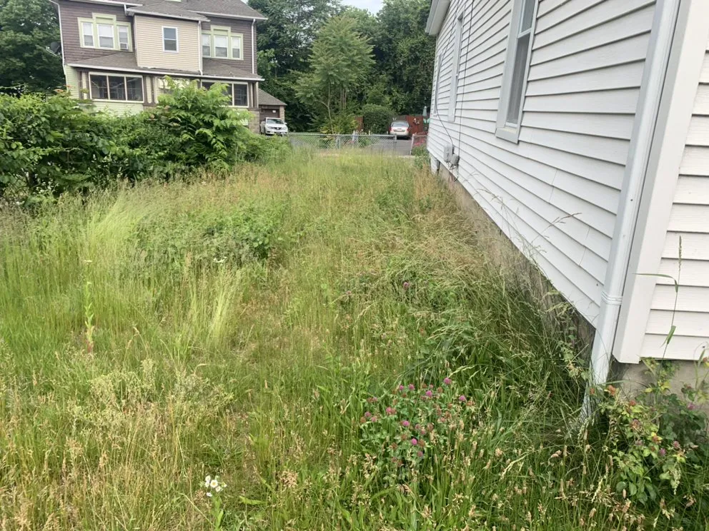 Expert lawn mowing service for year-round maintenance across Springfield, MA - New Look Services