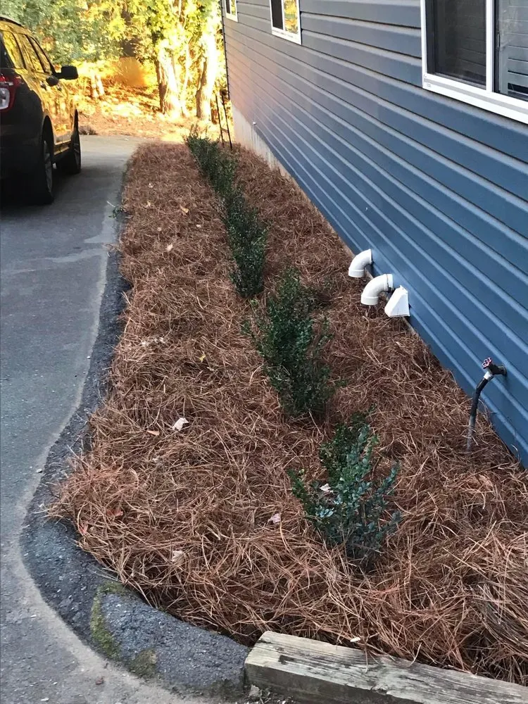 Trusted landscape design in Rock Hill, SC by New Look Yard Services