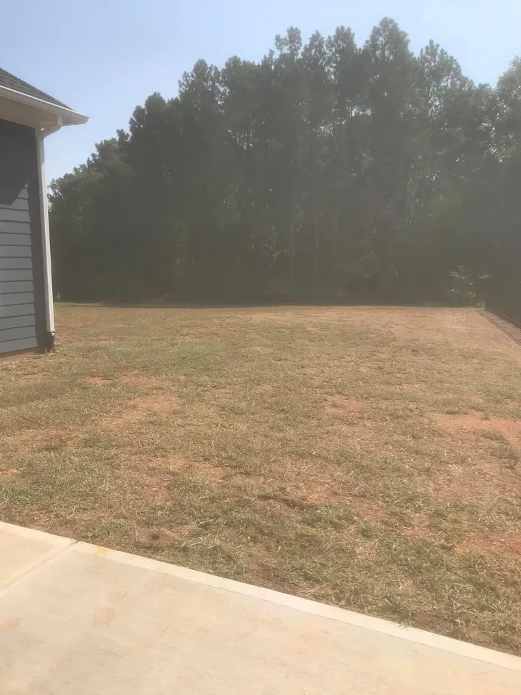 Professional yard cleanup service in Rock Hill, SC by New Look Yard Services