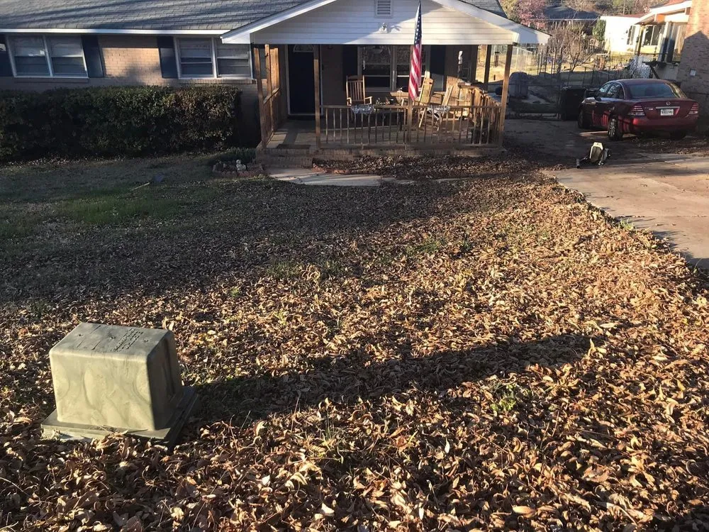 Reliable yard cleanup service experts serving Rock Hill, SC - New Look Yard Services