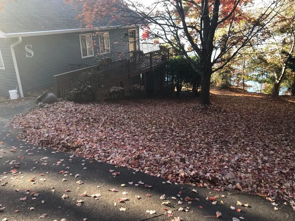 Professional yard maintenance in Rock Hill, SC by New Look Yard Services