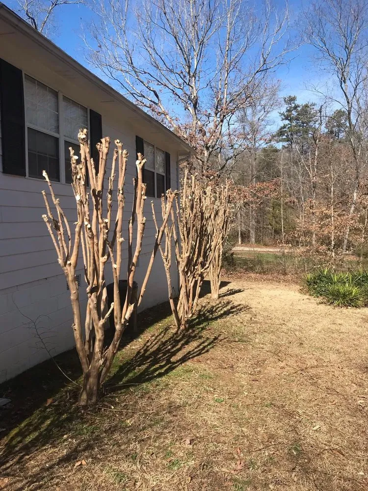 Custom landscape design for homes in Rock Hill, SC by New Look Yard Services