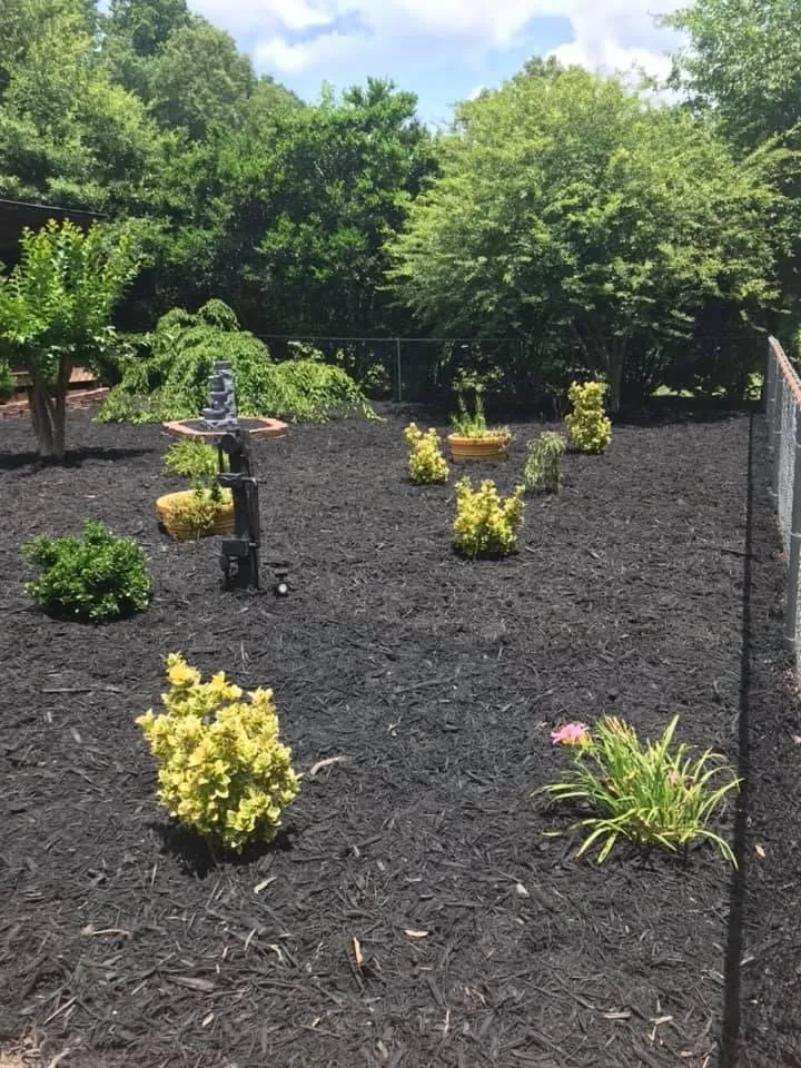 Top-rated landscaping services experts serving Rock Hill, SC - New Look Yard Services