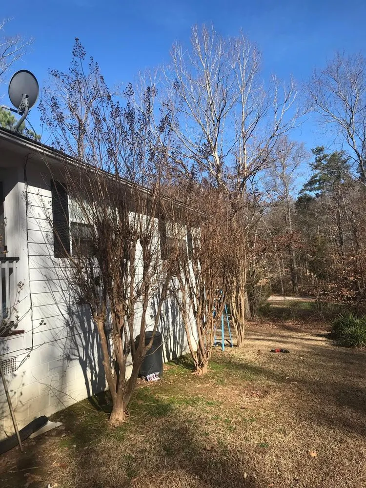 Reliable landscape design in Rock Hill, SC - New Look Yard Services