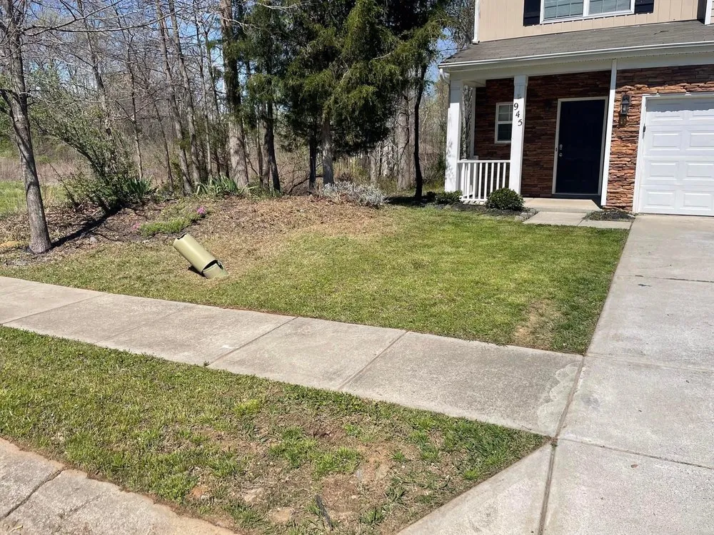 Local landscaping services for beautiful yards across Rock Hill, SC - New Look Yard Services