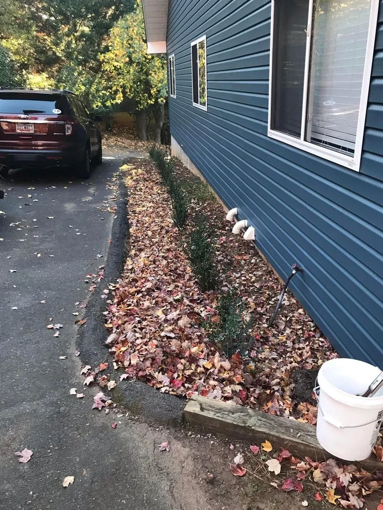 Top-rated yard cleanup service in Rock Hill, SC - New Look Yard Services