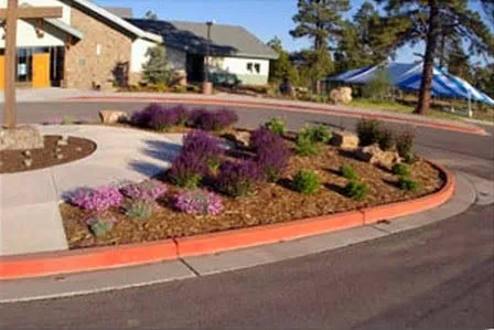 Top-rated landscape design in Pagosa Springs, CO - New Mark Landscape