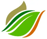 Reliable yard cleanup service for residential properties in Sandston, VA by New Market Grounds Corporation