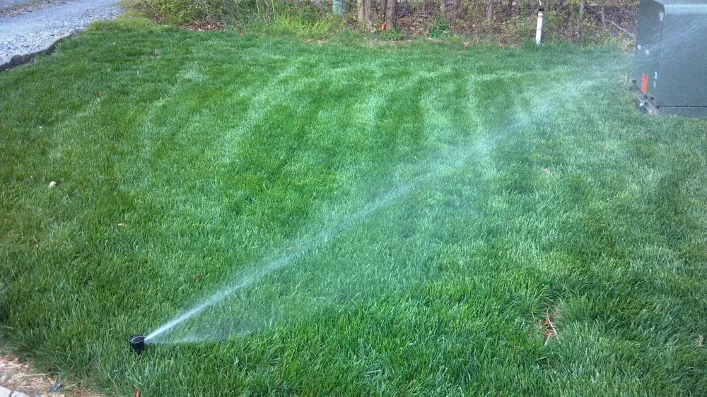 Reliable lawn mowing service with custom design in Sandston, VA by New Market Grounds Corporation