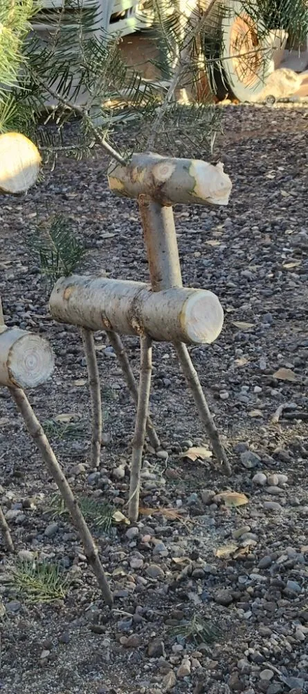 Custom lawn care service in Bernalillo, NM - New Mexico Tru