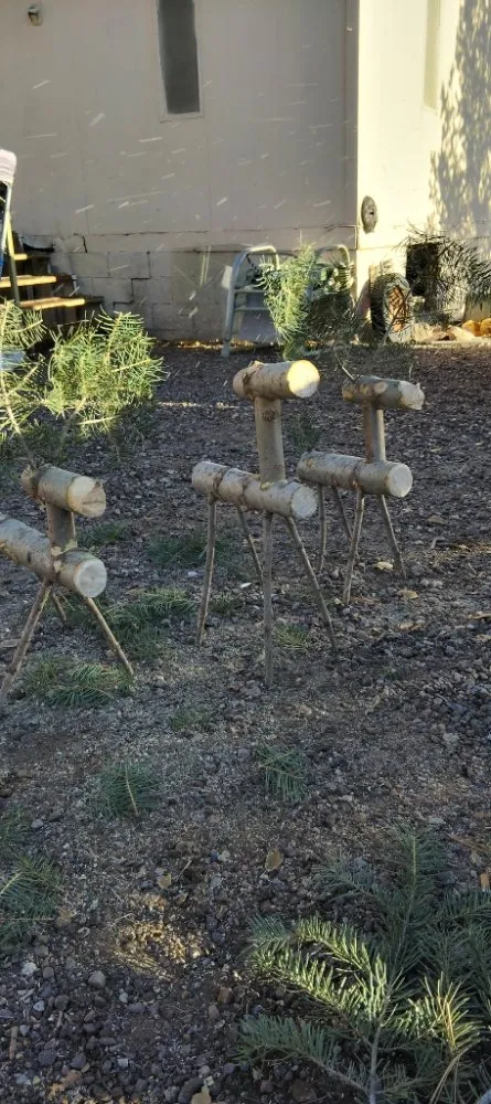 Custom garden landscaping near you across Bernalillo, NM - New Mexico Tru