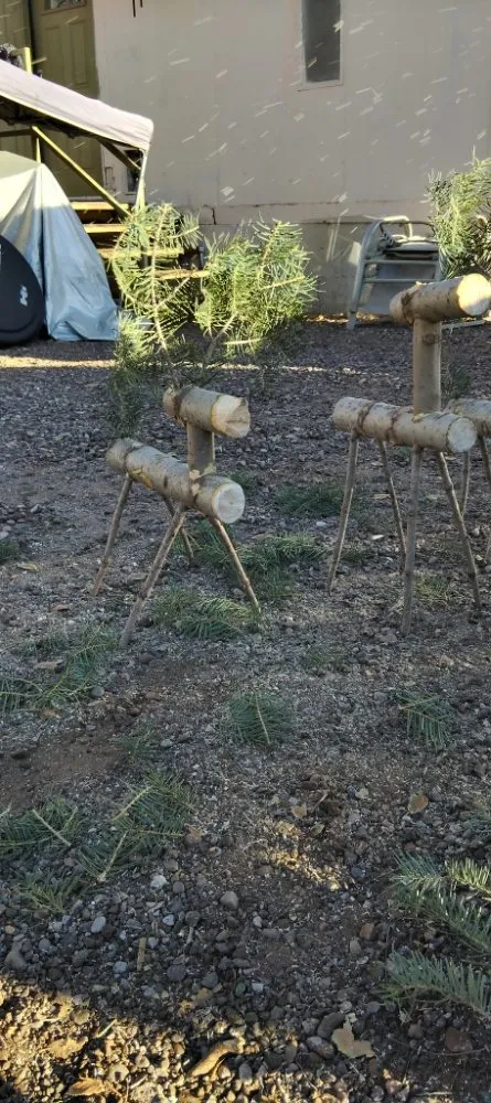 Custom lawn mowing service for homes in Bernalillo, NM by New Mexico Tru