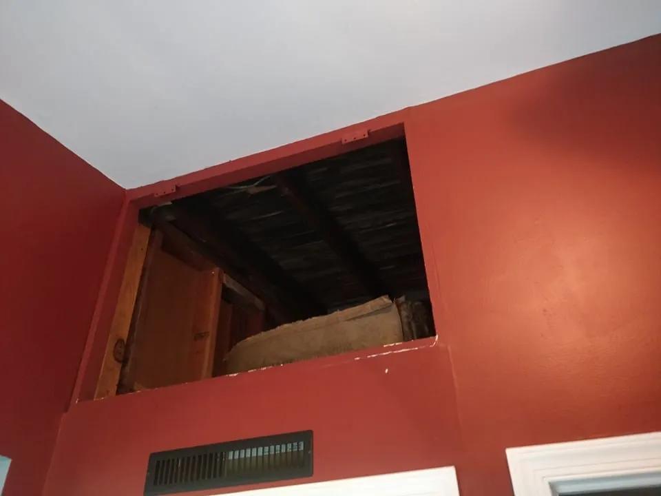 Professional yard maintenance in Gilbertsville, PA by New Mood Remodeling