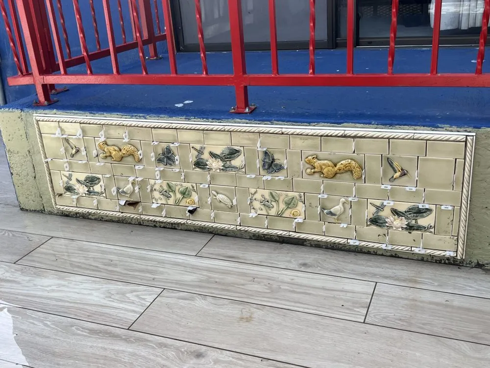 Expert yard cleanup service experts serving Oakland, CA - New Moon Landscape