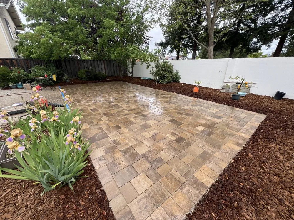 Local yard maintenance for beautiful yards across Oakland, CA - New Moon Landscape