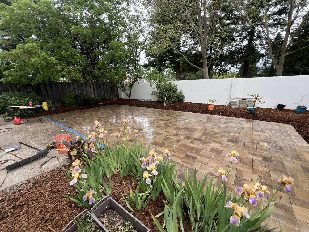 Expert lawn mowing service in Oakland, CA - New Moon Landscape