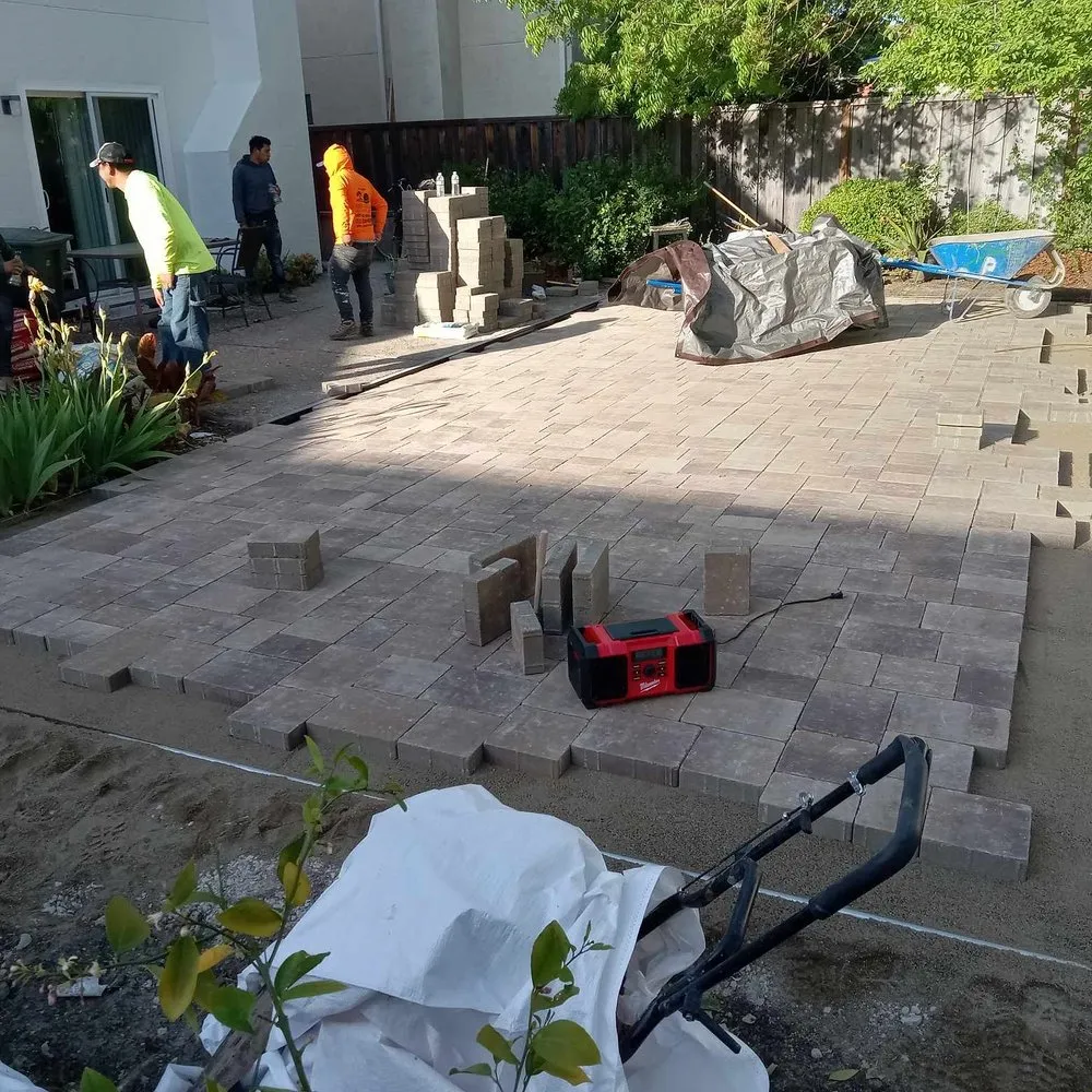 Trusted lawn care service in Oakland, CA by New Moon Landscape