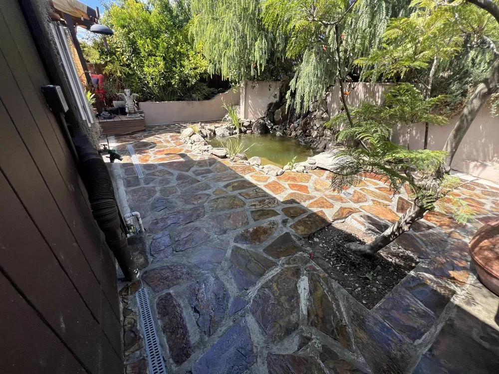 Custom lawn care service in Oakland, CA - New Moon Landscape