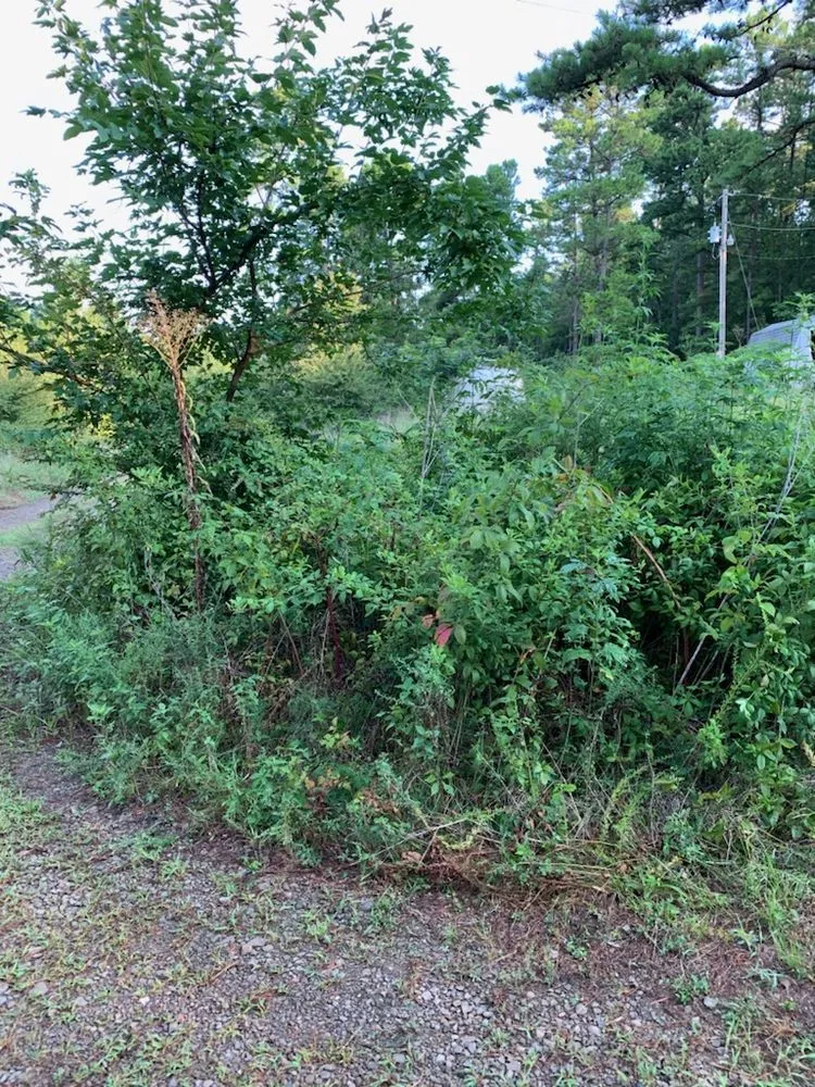 Top-rated residential landscaping experts serving Poteau, OK - New Oak Construction