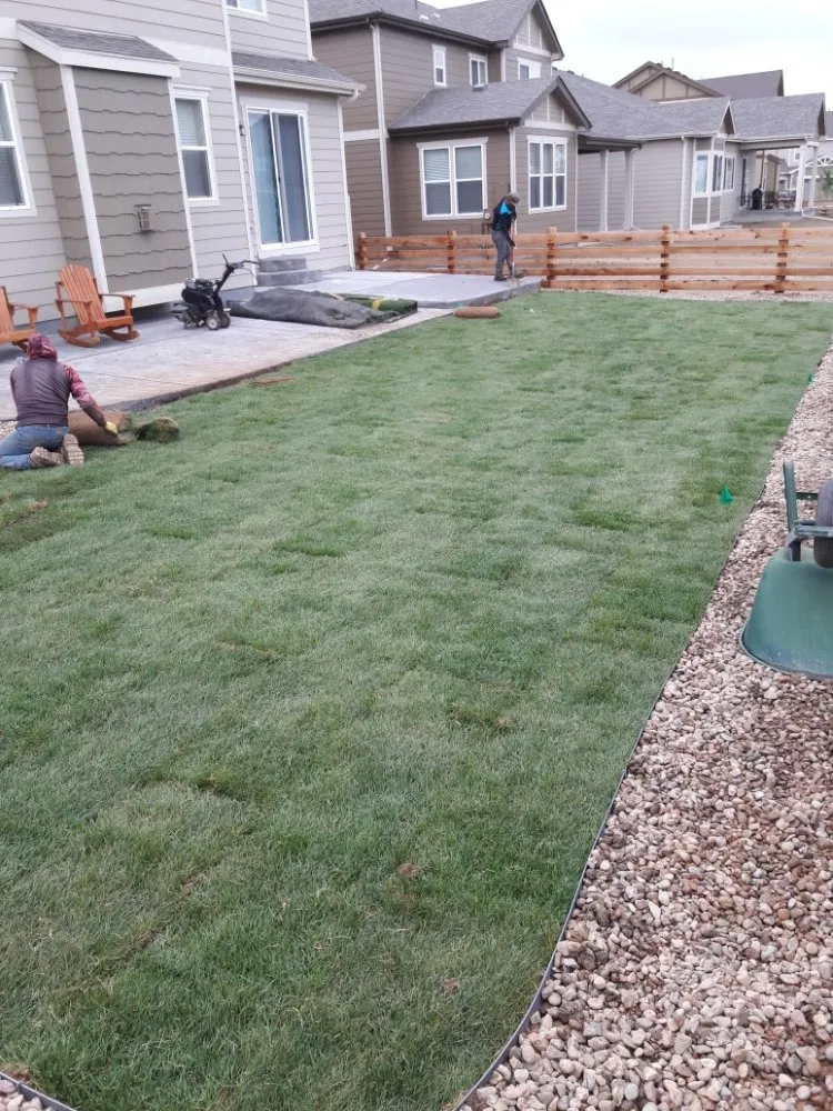 Expert landscape installation near you in Denver, CO by New Option Sprinkler Service and Landscaping