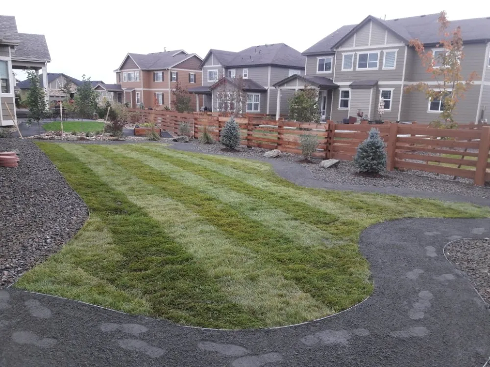Local outdoor landscaping for year-round maintenance across Denver, CO - New Option Sprinkler Service and Landscaping
