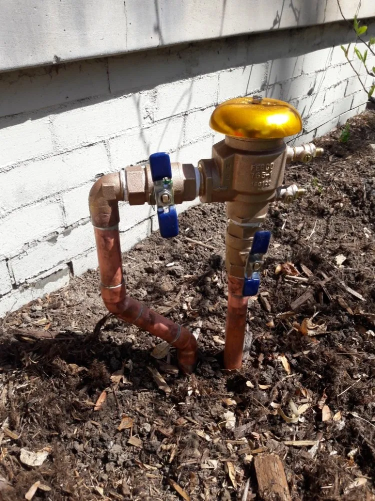 Expert lawn care service in Denver, CO by New Option Sprinkler Service and Landscaping