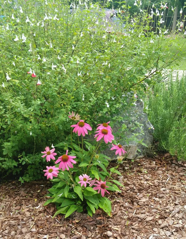 Trusted outdoor landscaping experts serving Longview, TX - New Orleans Gardens Landscaping