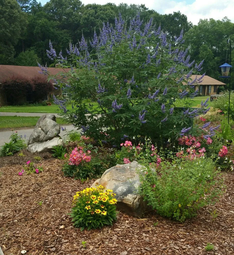 Local yard maintenance for homes across Longview, TX - New Orleans Gardens Landscaping