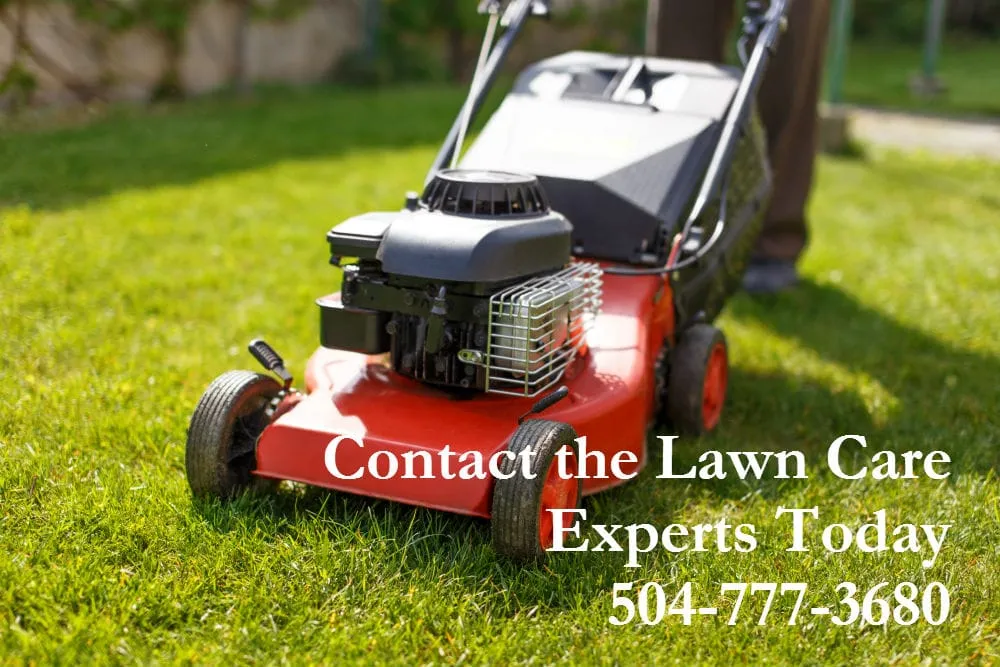 Top-rated landscaping services in New Orleans, LA by New Orleans Landscaping