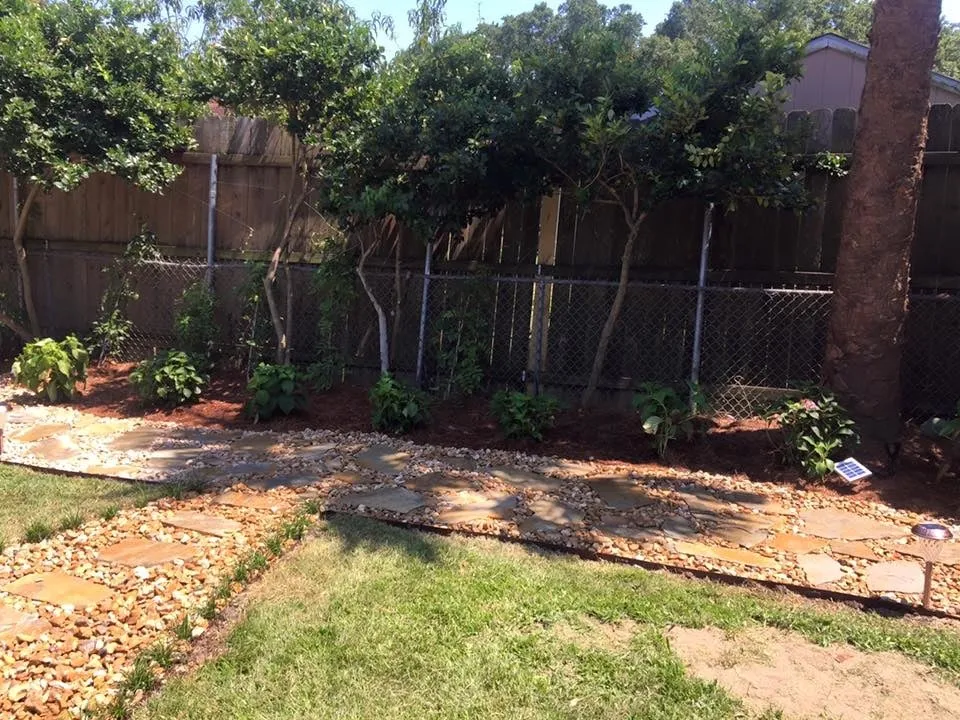 Expert yard cleanup service experts serving New Orleans, LA - New Orleans Landscaping