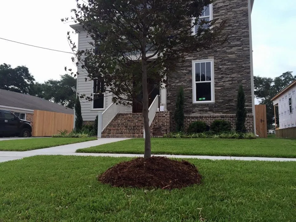 Top-rated lawn mowing service in New Orleans, LA by New Orleans Landscaping