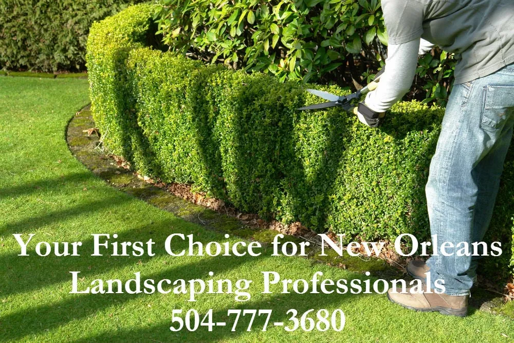 Professional landscape design in New Orleans, LA - New Orleans Landscaping