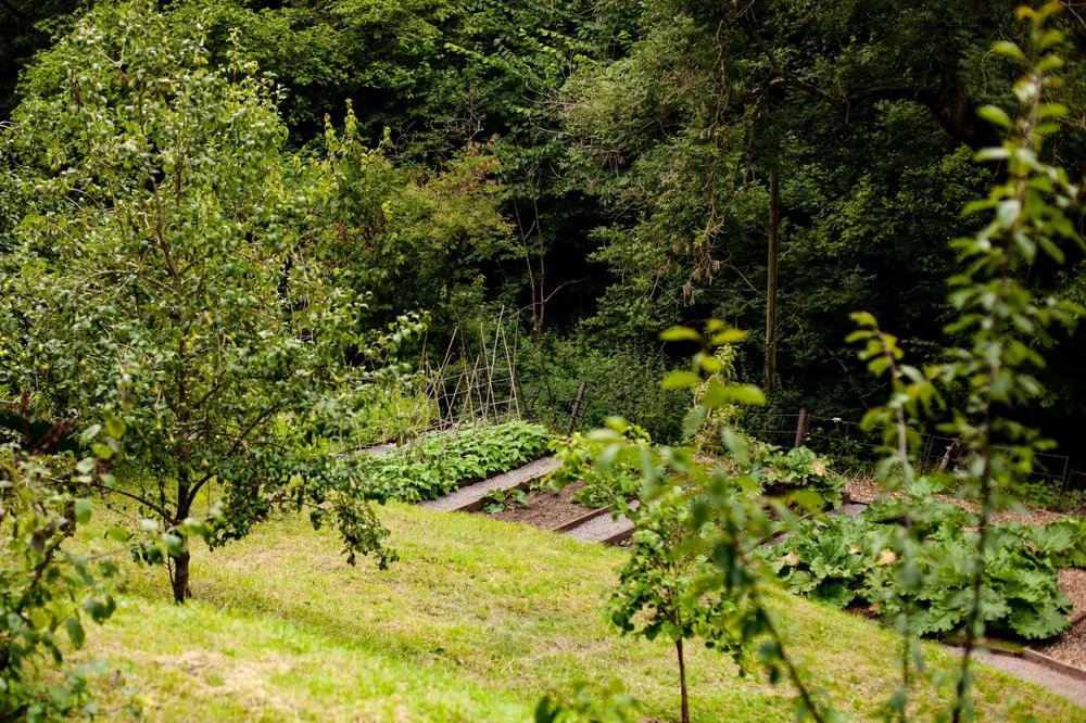 Top-rated garden landscaping in Kalama, WA by New Paradigm Home and Garden