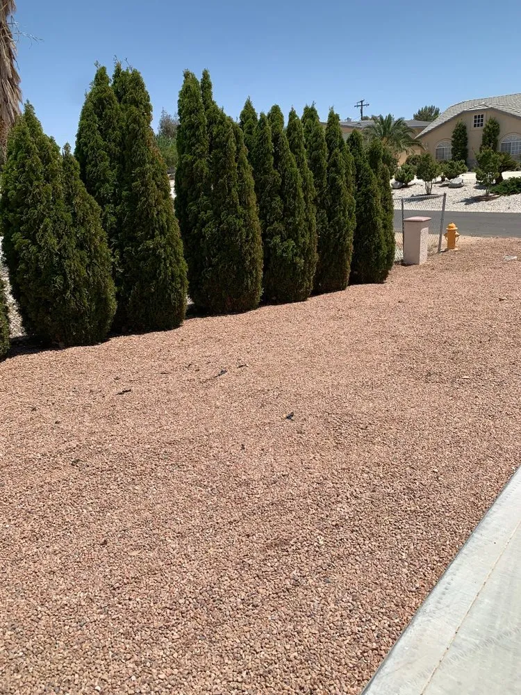 Custom landscape design in Apple Valley, CA by New Perspective Landscaping
