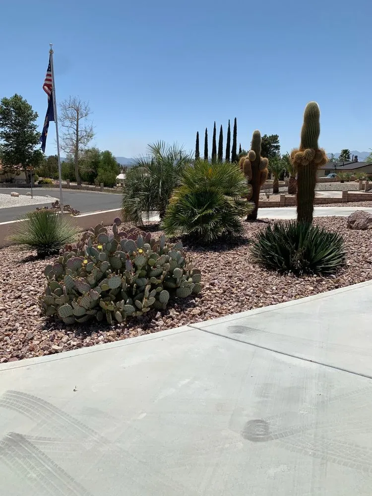 Trusted landscaping services for outdoor upgrades in Apple Valley, CA by New Perspective Landscaping