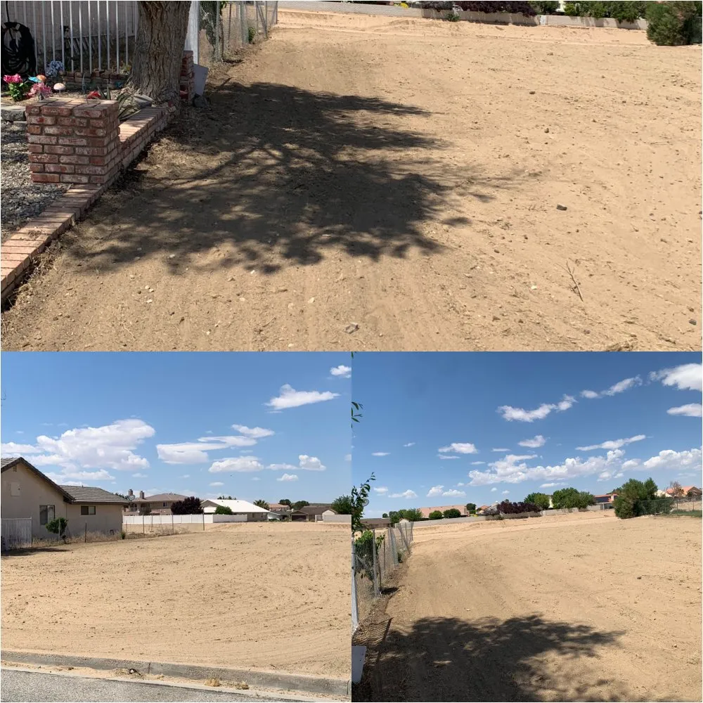 Expert lawn care service in Apple Valley, CA by New Perspective Landscaping