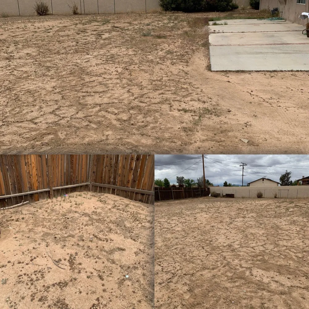 Trusted landscaping services near you across Apple Valley, CA - New Perspective Landscaping