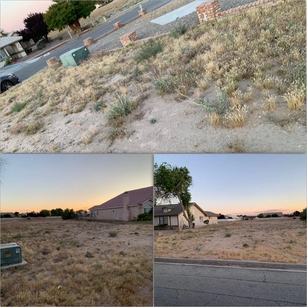 Custom landscape installation experts serving Apple Valley, CA - New Perspective Landscaping