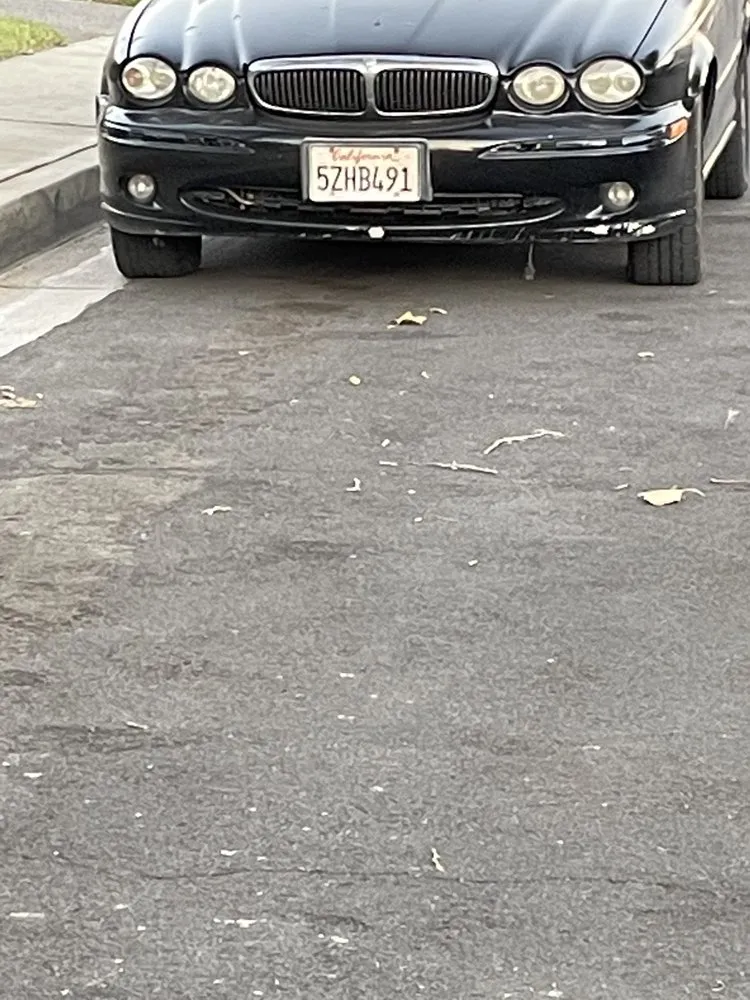 Affordable yard maintenance in Bloomington, CA by New Project Landscape