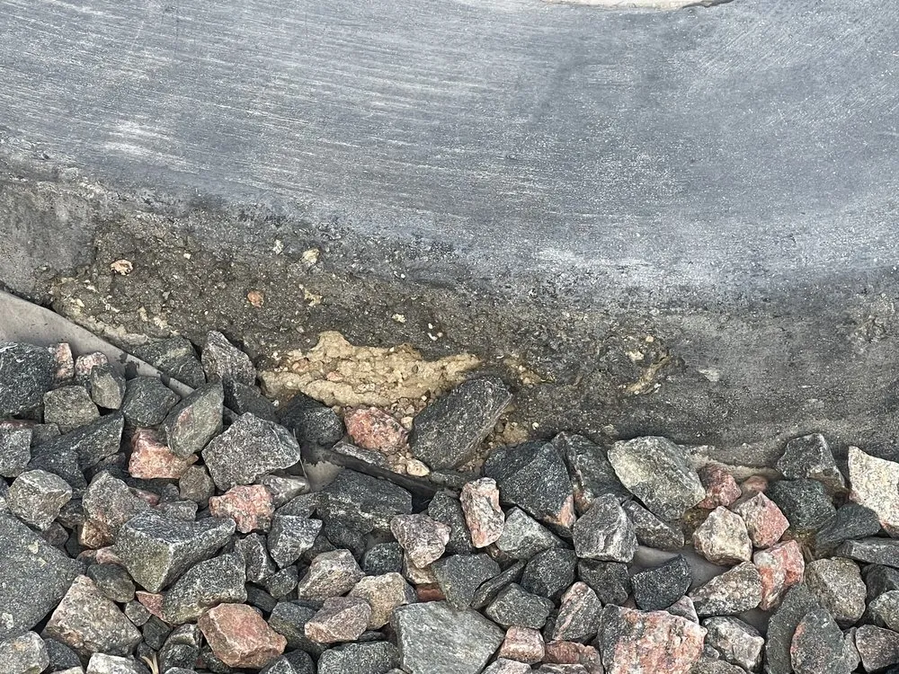 Professional yard cleanup service in Colorado Springs, CO by New Project Landscaping