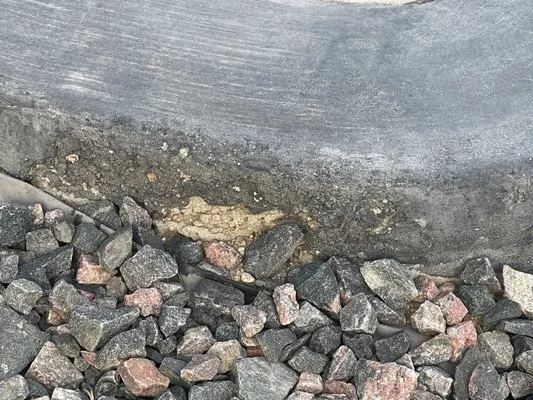 New Project Landscaping Logo