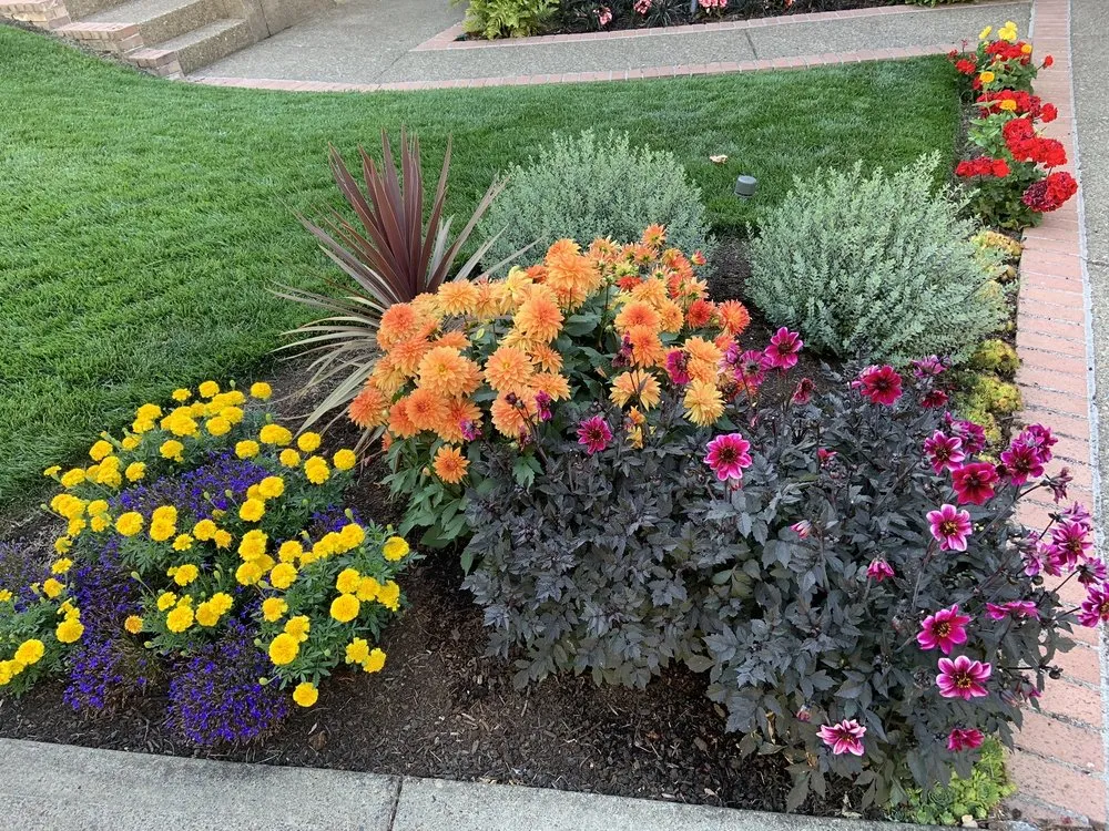 Professional landscape installation in Damascus, OR by New Renovation Construction