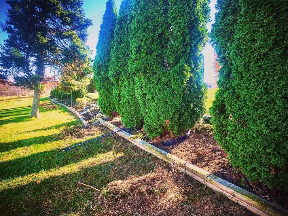 Trusted outdoor landscaping for residential properties across Wytheville, VA - New River Landscapes